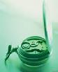 копии часов Philip Watch